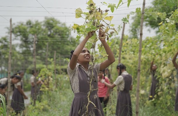Students planting trees